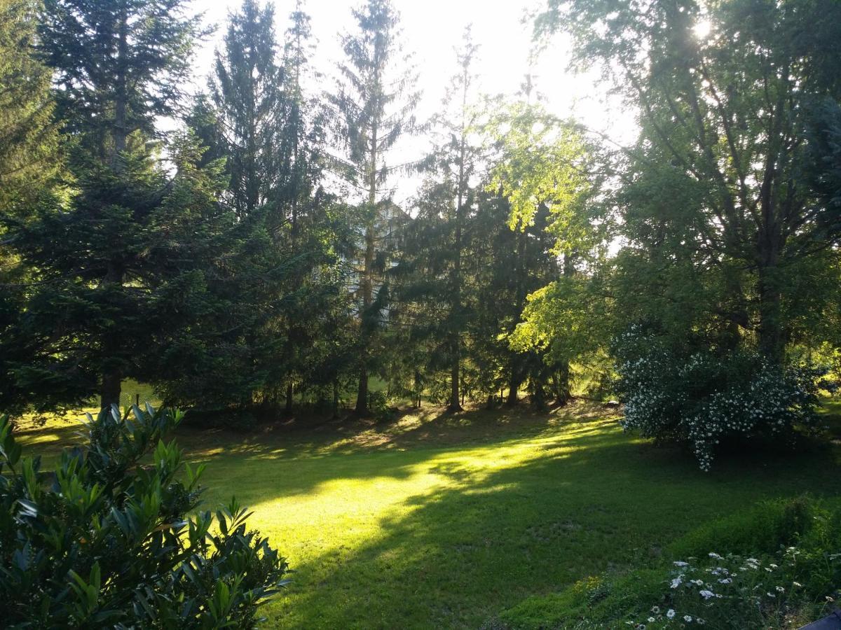 Schwarzwald - Villa Appartments Titisee Luaran gambar
