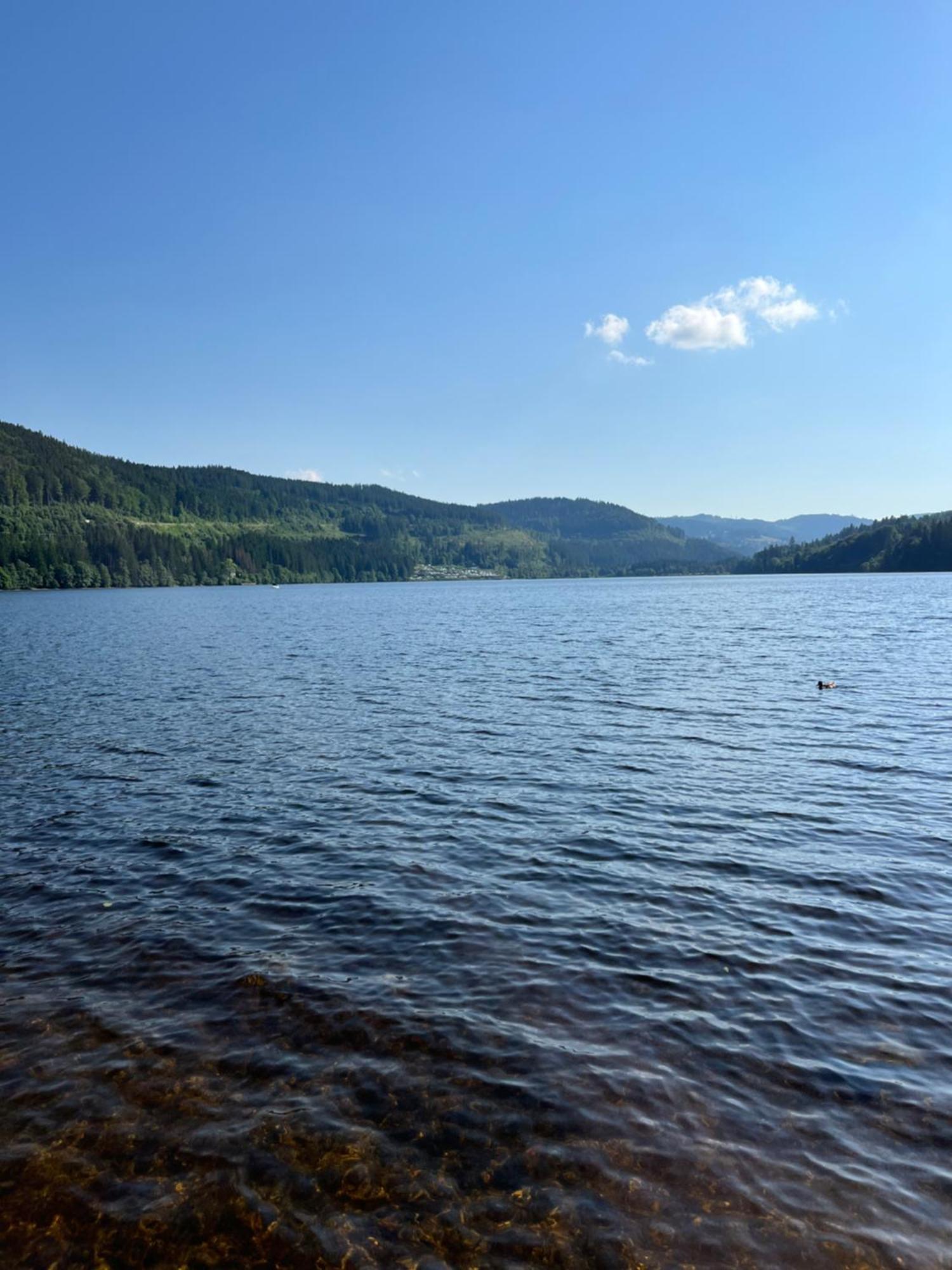 Schwarzwald - Villa Appartments Titisee Luaran gambar