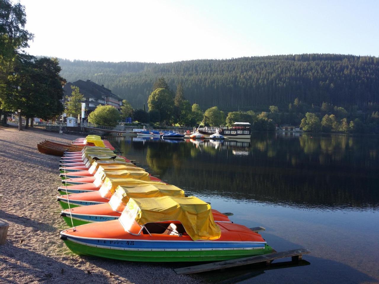 Schwarzwald - Villa Appartments Titisee Luaran gambar